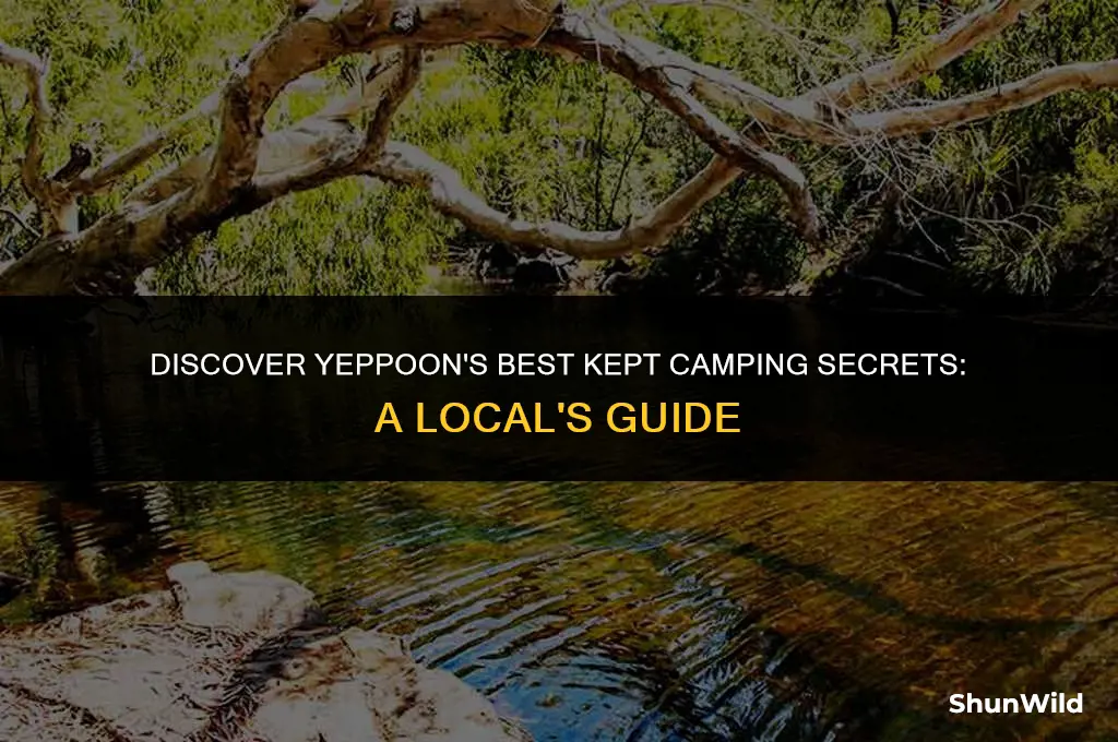 where to camp in yeppoon