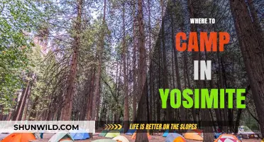 Discover Yosemite's Hidden Gems: The Ultimate Camping Guide