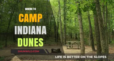 Discover the Best Campsites at Indiana Dunes: A Guide for Outdoor Enthusiasts
