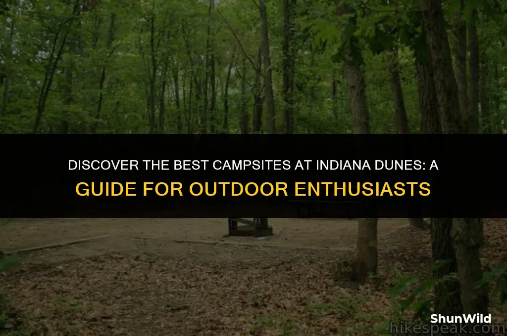 where to camp indiana dunes