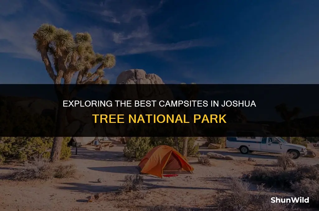 where to camp joshua tree