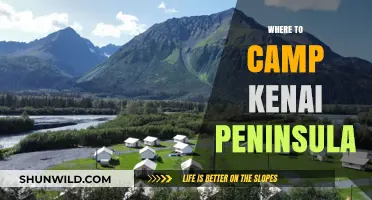 Exploring Kenai Peninsula: Top Campsites for an Unforgettable Adventure