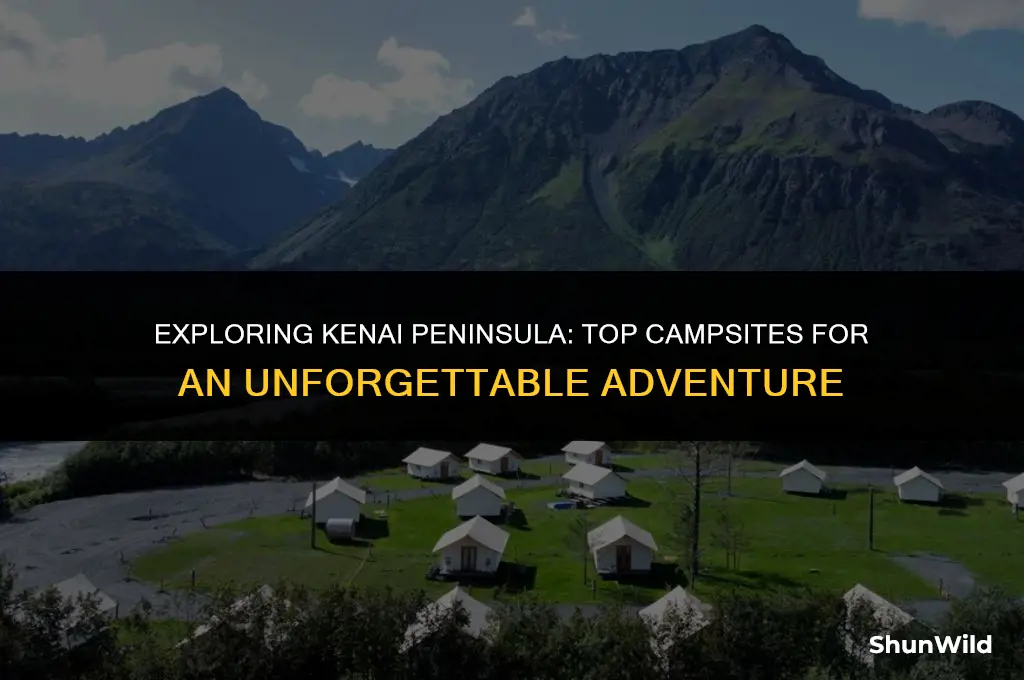 where to camp kenai peninsula
