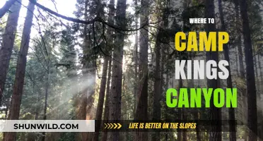 Discover the Best Campsites in Kings Canyon National Park