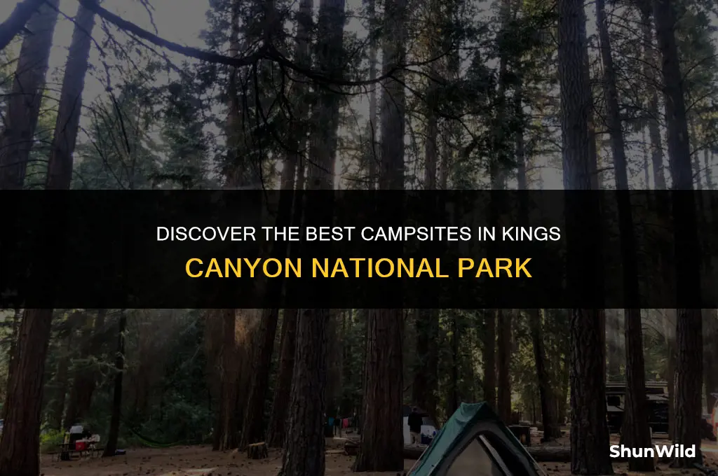 where to camp kings canyon