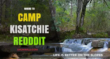 Exploring Kisatchie: Reddit's Top Campsite Recommendations Unveiled