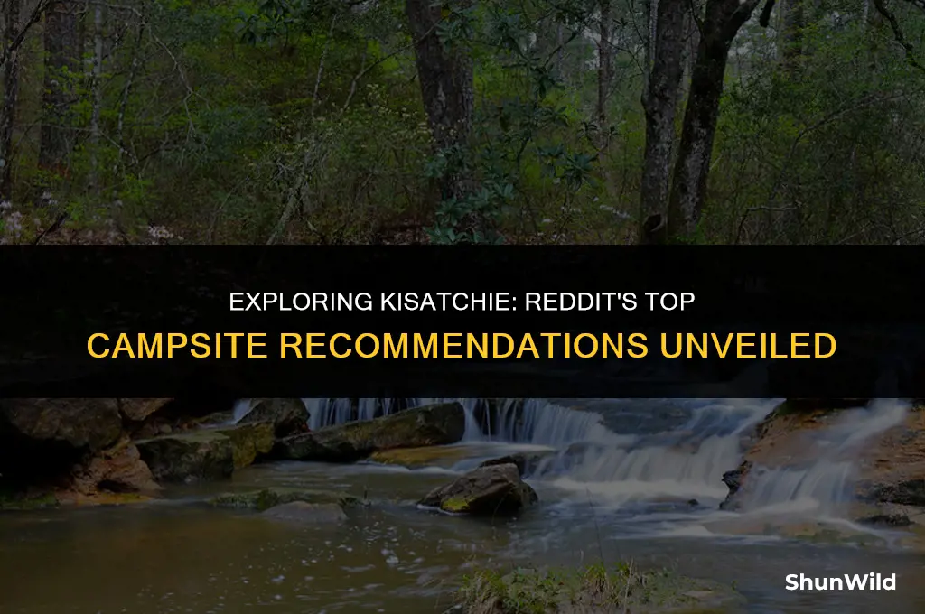 where to camp kisatchie redddit