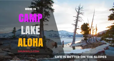 Discovering Serenity: The Best Campsites at Lake Aloha