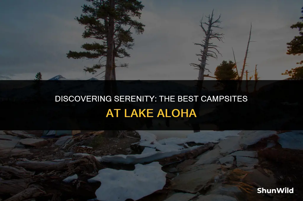 where to camp lake aloha