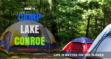 Discover the Best Campsites at Lake Conroe: A Comprehensive Guide