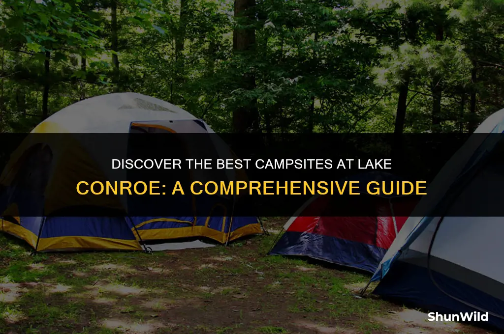 where to camp lake conroe