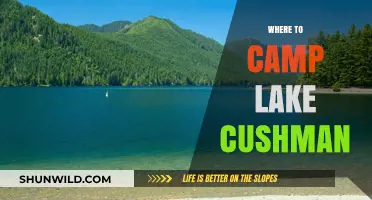 Discover the Best Campsites at Lake Cushman: A Comprehensive Guide