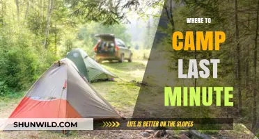 Spontaneous Adventures: Discovering Last-Minute Camping Spots