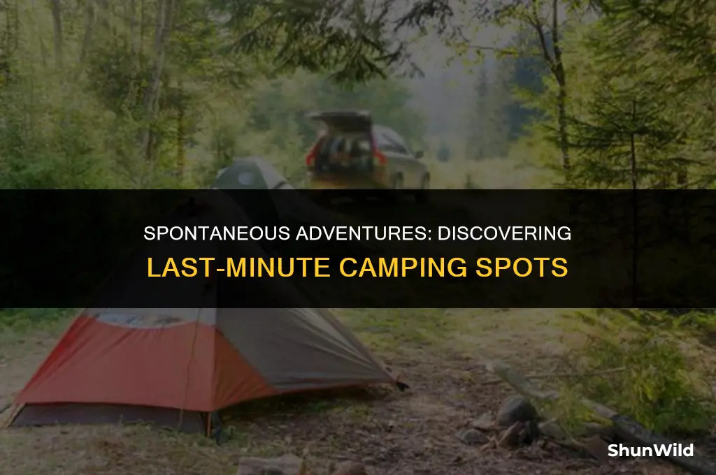 where to camp last minute