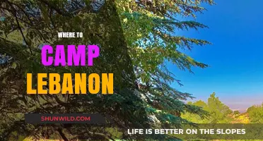 Discover Lebanon's Best Kept Camping Secrets: A Local's Guide