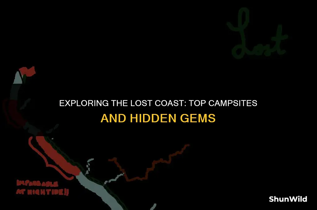 where to camp lost coast
