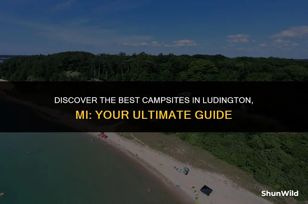 where to camp ludington mi
