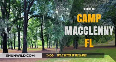 Discover the Best Campsites in Macclenny, Florida: A Guide