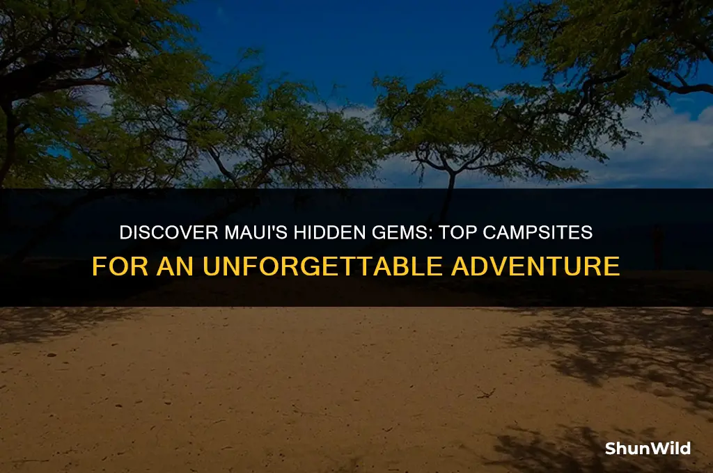 where to camp maui