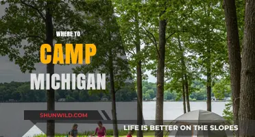 Discover Michigan's Best Campsites: A Guide to Outdoor Adventure