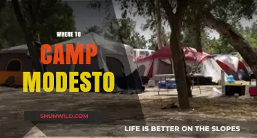 Discover the Best Campsites Near Modesto: A Guide to Outdoor Bliss