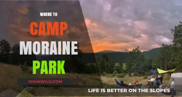 Discover the Best Campsites in Moraine Park: A Guide for Nature Lovers