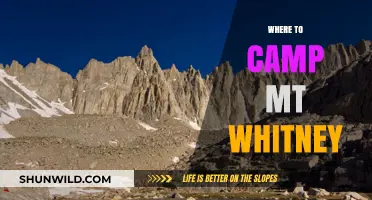 Where to Camp Mt Whitney: Best Sites and Tips for Your Adventure