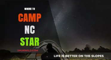 Discover the Best Campsites Under the NC Starry Sky