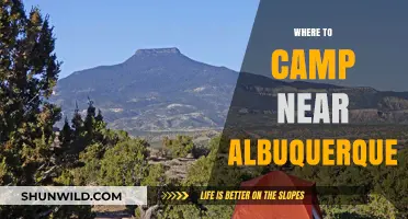 Discover the Best Campsites Near Albuquerque: A Guide for Outdoor Enthusiasts