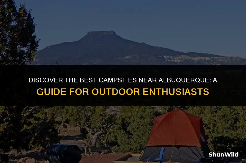 where to camp near albuquerque