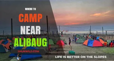 Discover the Best Camping Spots Near Alibaug: A Guide to Nature's Retreats