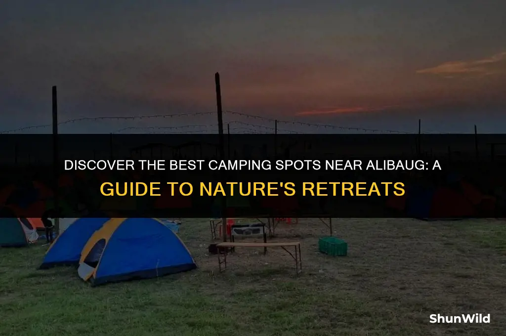 where to camp near alibaug