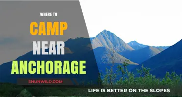 Discover the Best Campsites Near Anchorage: A Guide to Outdoor Bliss