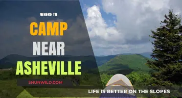 Discover the Best Campsites Near Asheville: A Guide to Outdoor Bliss