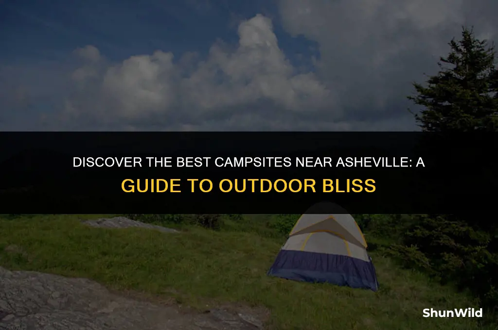 where to camp near asheville