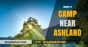 Discover the Best Campsites Near Ashland for Your Next Adventure