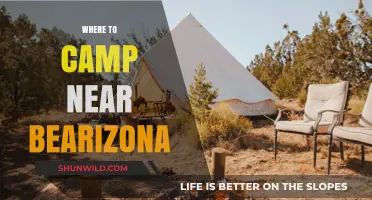 Discover the Best Campsites Near Bearizona: A Guide for Outdoor Enthusiasts
