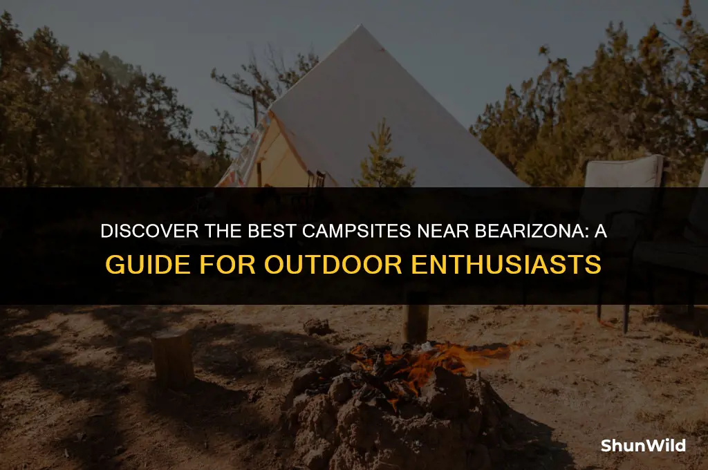 where to camp near bearizona