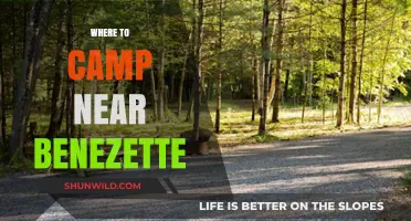 Discover the Best Campsites Near Benezette: A Guide to Outdoor Bliss
