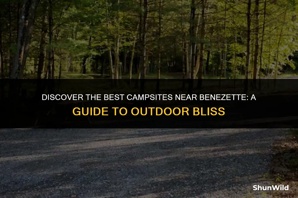 where to camp near benezette