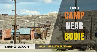 Discover the Best Campsites Near Bodie: A Guide to Outdoor Bliss