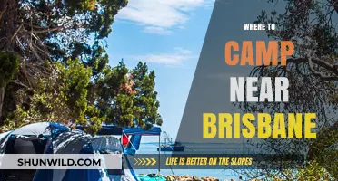 Discover Brisbane's Best Kept Camping Secrets: A Local's Guide