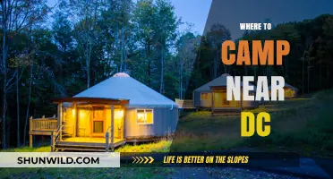 Discover the Best Campsites Near DC: A Guide to Outdoor Adventures