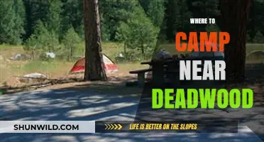 Exploring the Great Outdoors: Top Camping Spots Near Deadwood