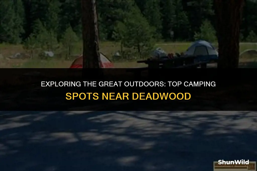 where to camp near deadwood