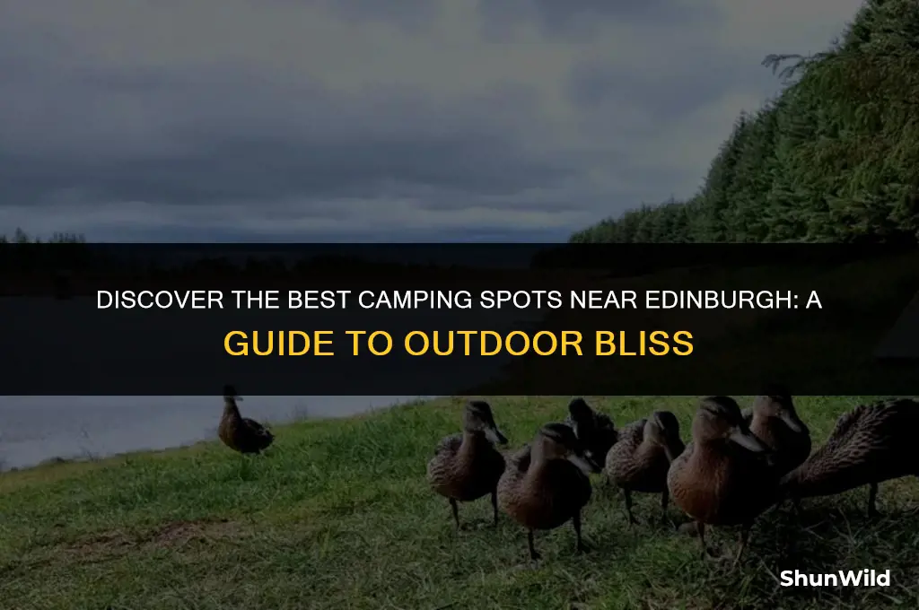 where to camp near edinburgh