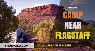 Discover the Best Campsites Near Flagstaff: A Guide to Outdoor Bliss
