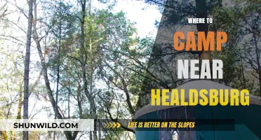 Discover the Best Campsites Near Healdsburg: A Guide to Outdoor Bliss