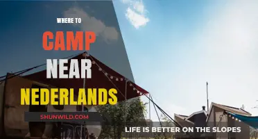 Discover the Best Campsites Near Nederland: Your Ultimate Guide