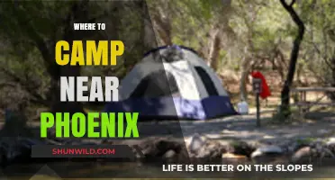 Discover the Best Camping Spots Near Phoenix: A Guide to Outdoor Bliss